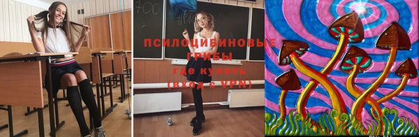гашик Арсеньев