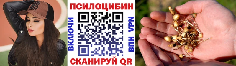 МЕГА ссылка  Фролово  Галлюциногенные грибы ЛСД 